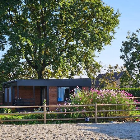 Houten Huisje Tussen Paarden Nieuwerkerken Eksteriør bilde