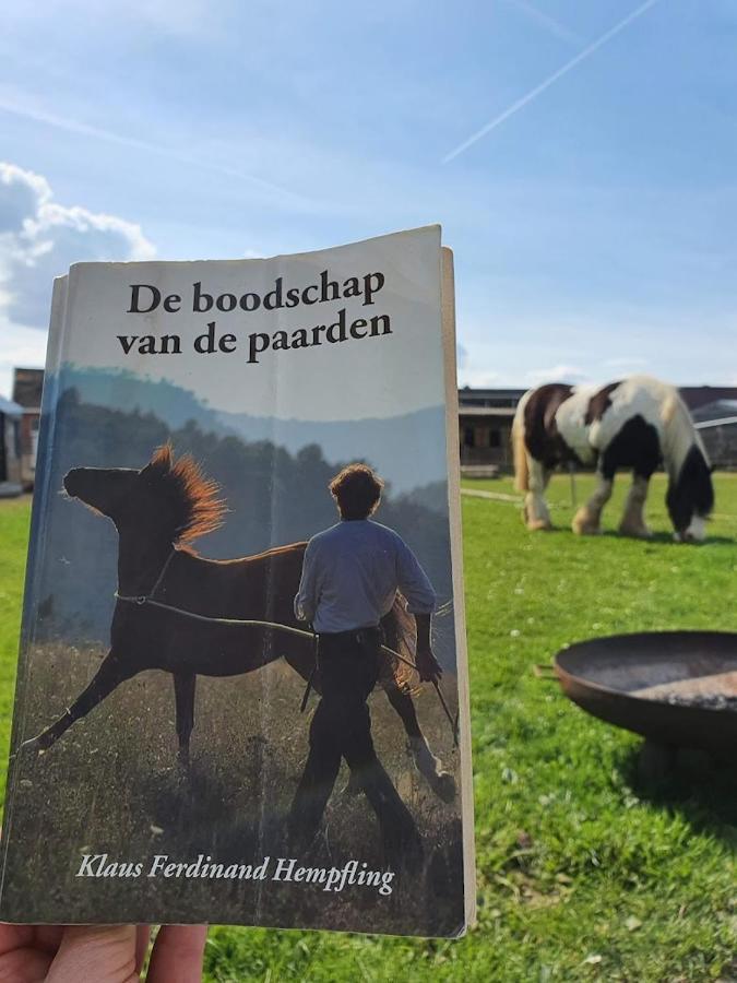 Houten Huisje Tussen Paarden Nieuwerkerken Eksteriør bilde