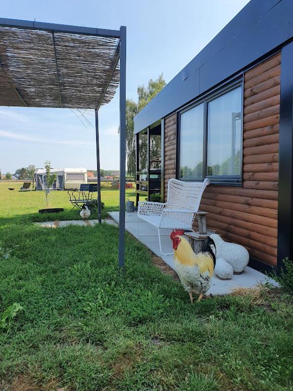 Houten Huisje Tussen Paarden Nieuwerkerken Eksteriør bilde