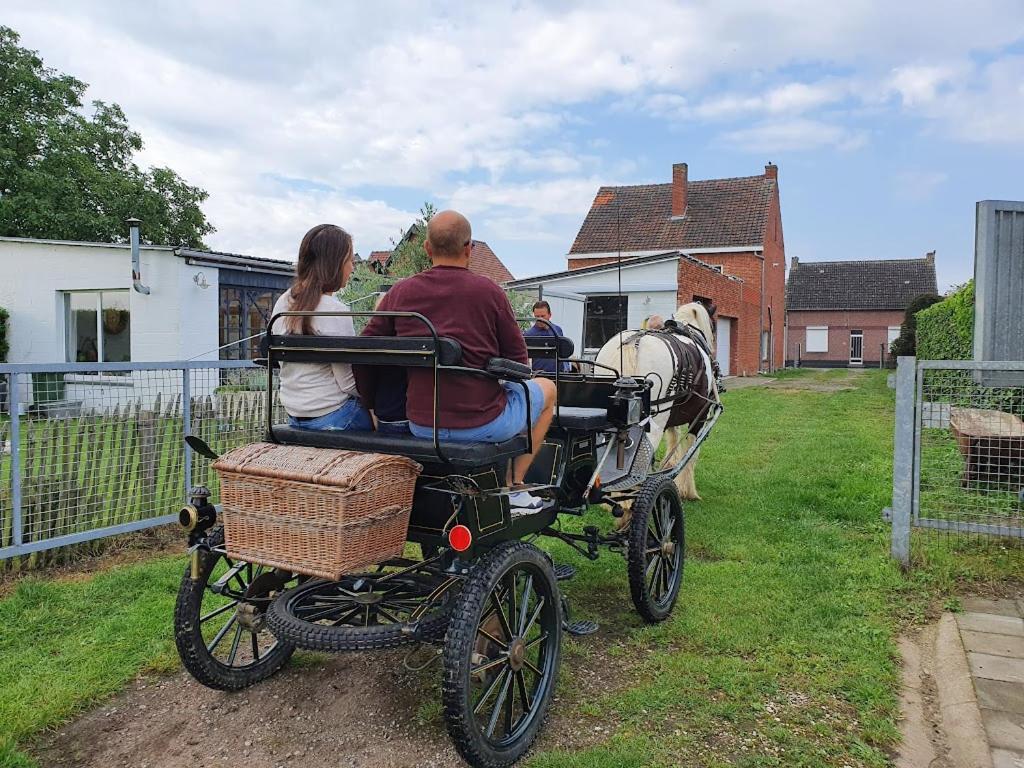 Houten Huisje Tussen Paarden Nieuwerkerken Eksteriør bilde