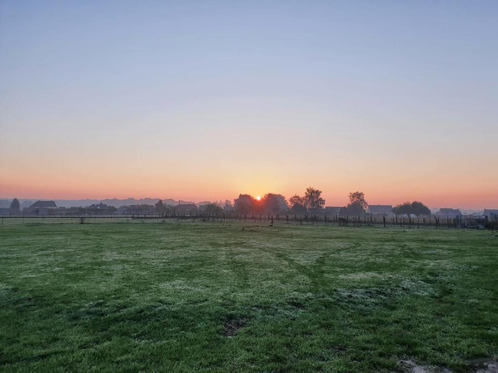 Houten Huisje Tussen Paarden Nieuwerkerken Eksteriør bilde