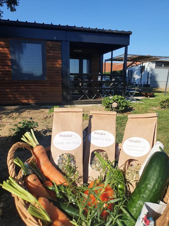 Houten Huisje Tussen Paarden Nieuwerkerken Eksteriør bilde