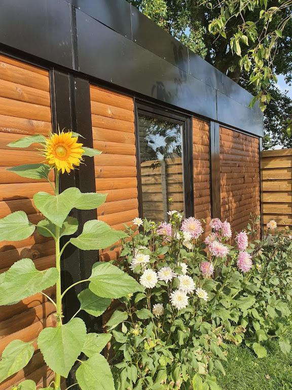 Houten Huisje Tussen Paarden Nieuwerkerken Eksteriør bilde