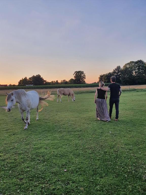 Houten Huisje Tussen Paarden Nieuwerkerken Eksteriør bilde