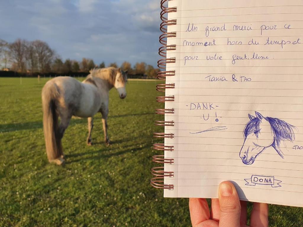 Houten Huisje Tussen Paarden Nieuwerkerken Eksteriør bilde