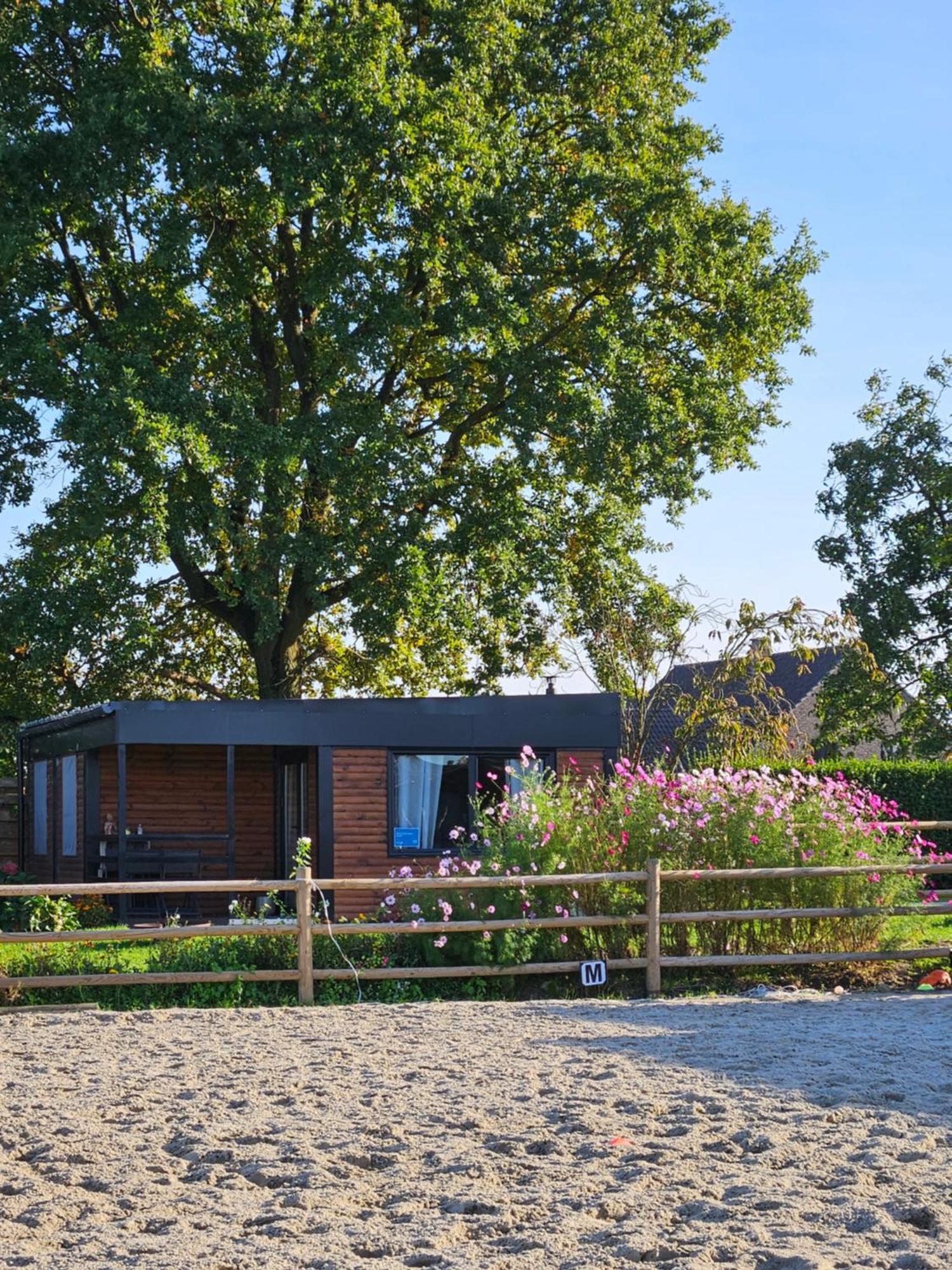 Houten Huisje Tussen Paarden Nieuwerkerken Eksteriør bilde